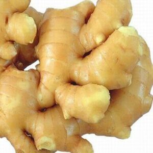 Ginger fresh Chaina 12kg