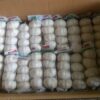 Garlic fresh China 250 gm X 40