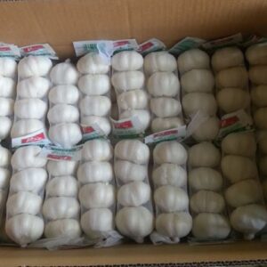 Garlic fresh China 250 gm X 40
