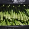 Okra fresh Honduras 🇭🇳 5kg