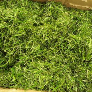 Fumbwa fresh 1 Kg