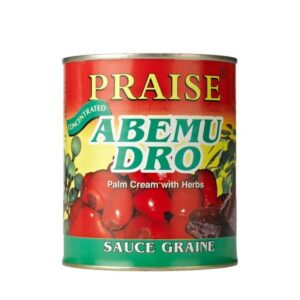PRAISE ABEMUDRO